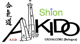 Aikido Shion