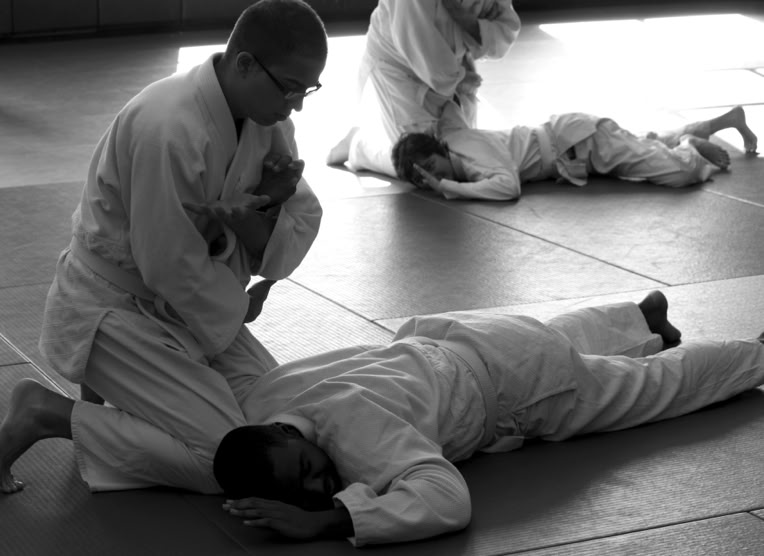 Immagine test di prova per principianti a Aikido Shion